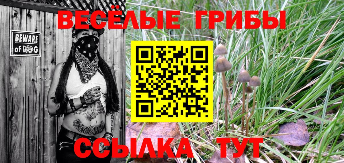 Галлюциногенные грибы мицелий Ртищево