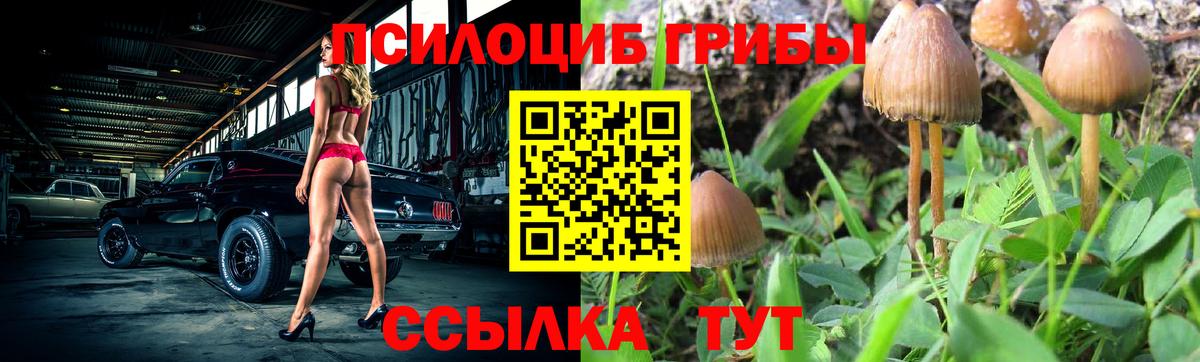 Галлюциногенные грибы прущие грибы  Вход с VPN  Галлюциногенные грибы ЛСД  Ртищево 